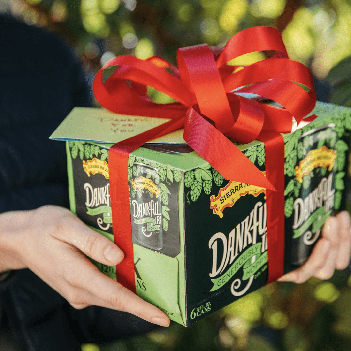 Dankful IPA six pack with big gift ribbon