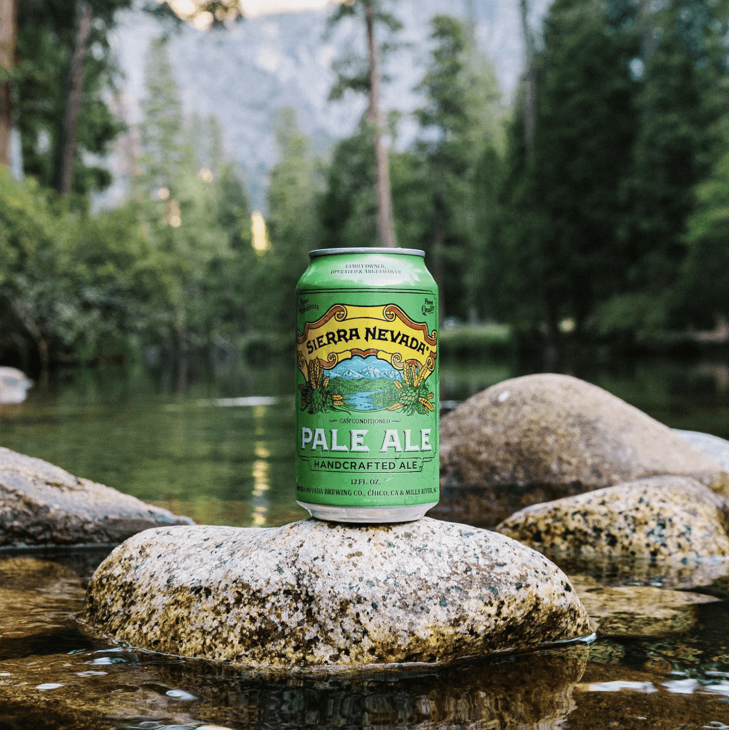 Pale Ale beer can in mountain lake scene