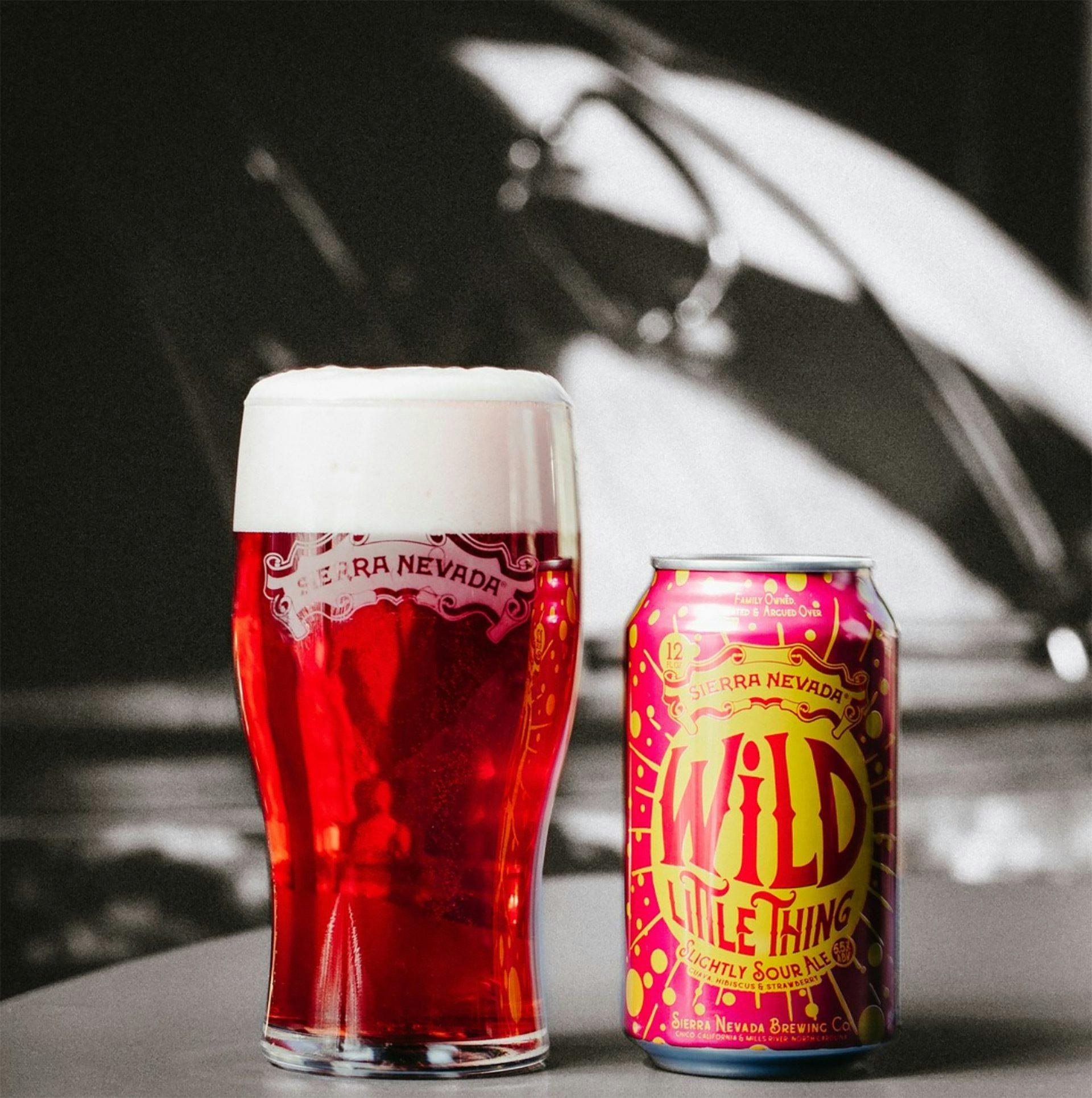 Wild Little Thing - Guava, Hibiscus, Strawberry Sour Ale