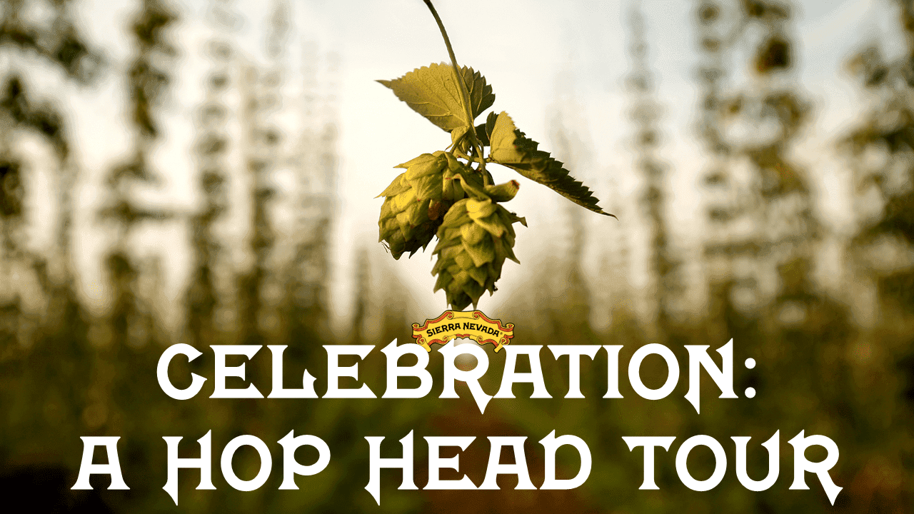 Celebration A Hop Head Tour