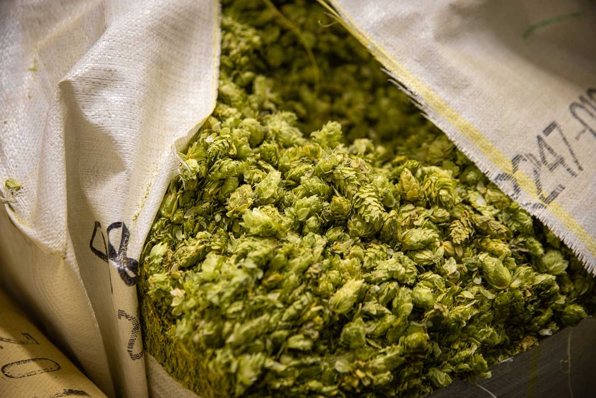 IBU Beer Scale: What Does It Mean? | Sierra Nevada Brewing Co.