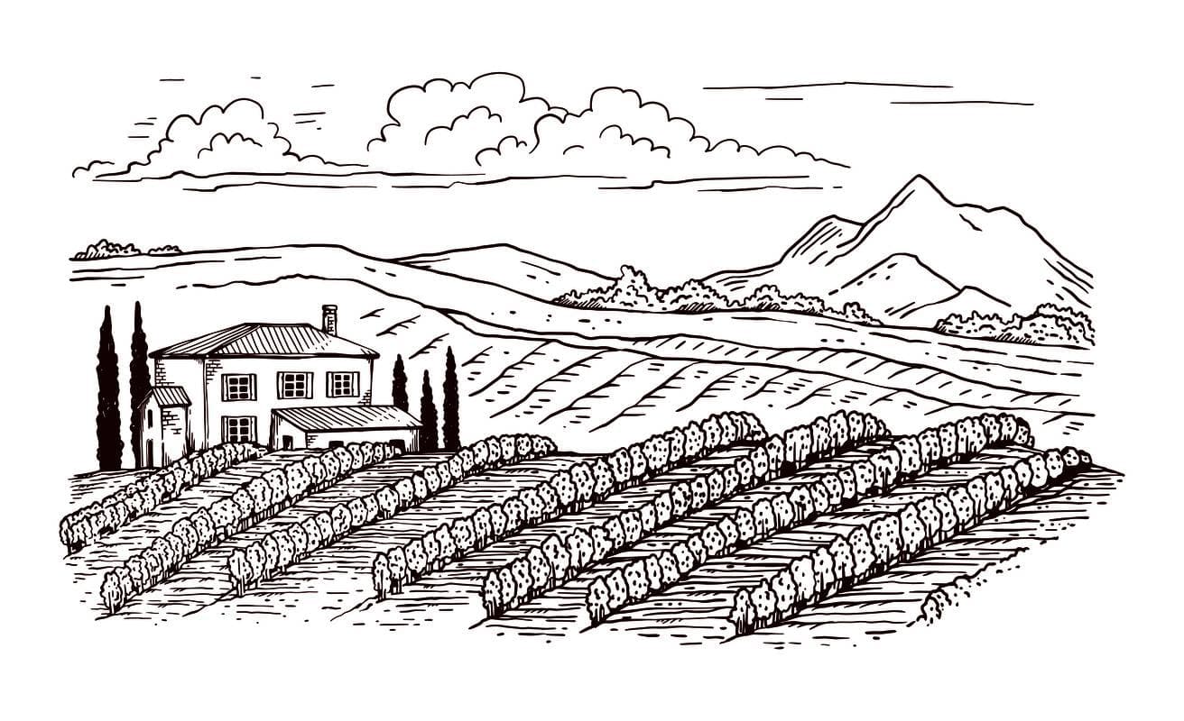 Sketch of farmland