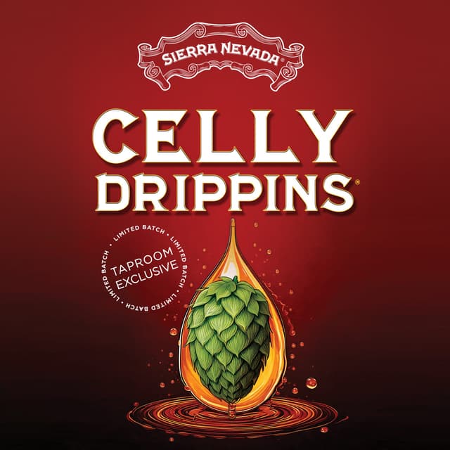 Celly Drippins poster