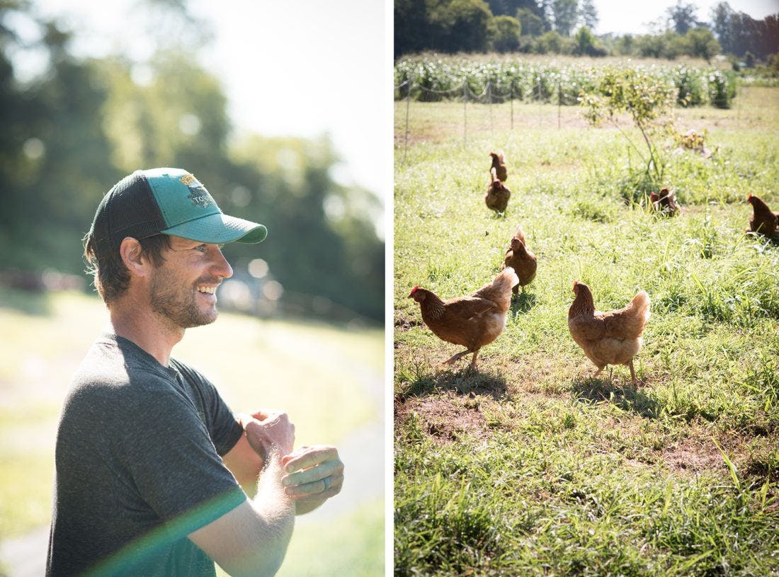 a man in a baseball cap and a field with chickens in it
