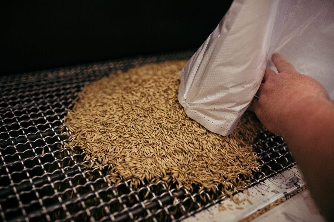 malted oats being poured out