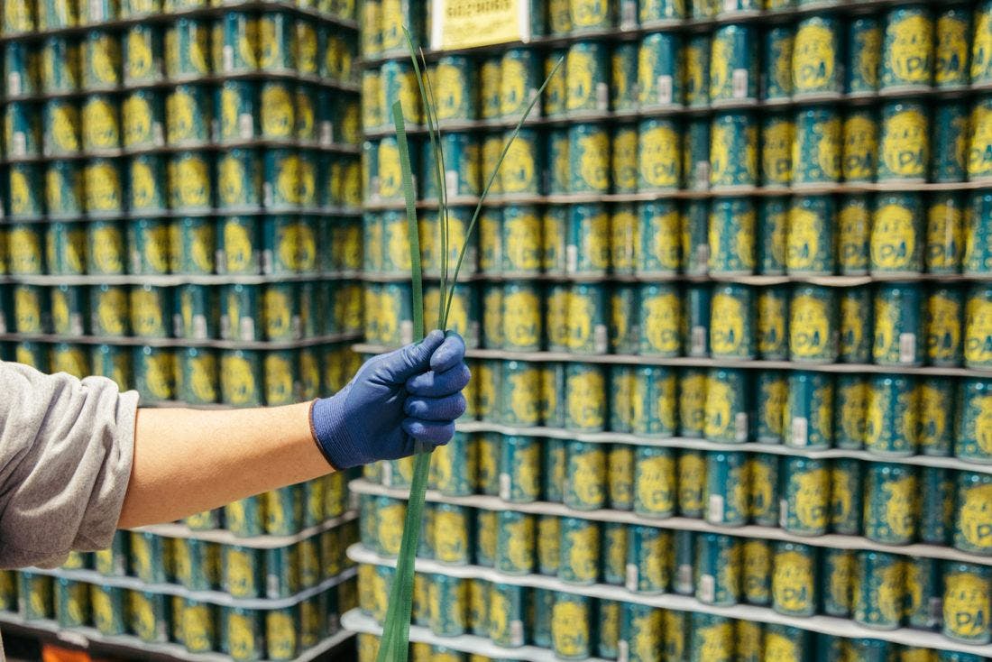 polyester strapping being held in front of a wall of beer cans