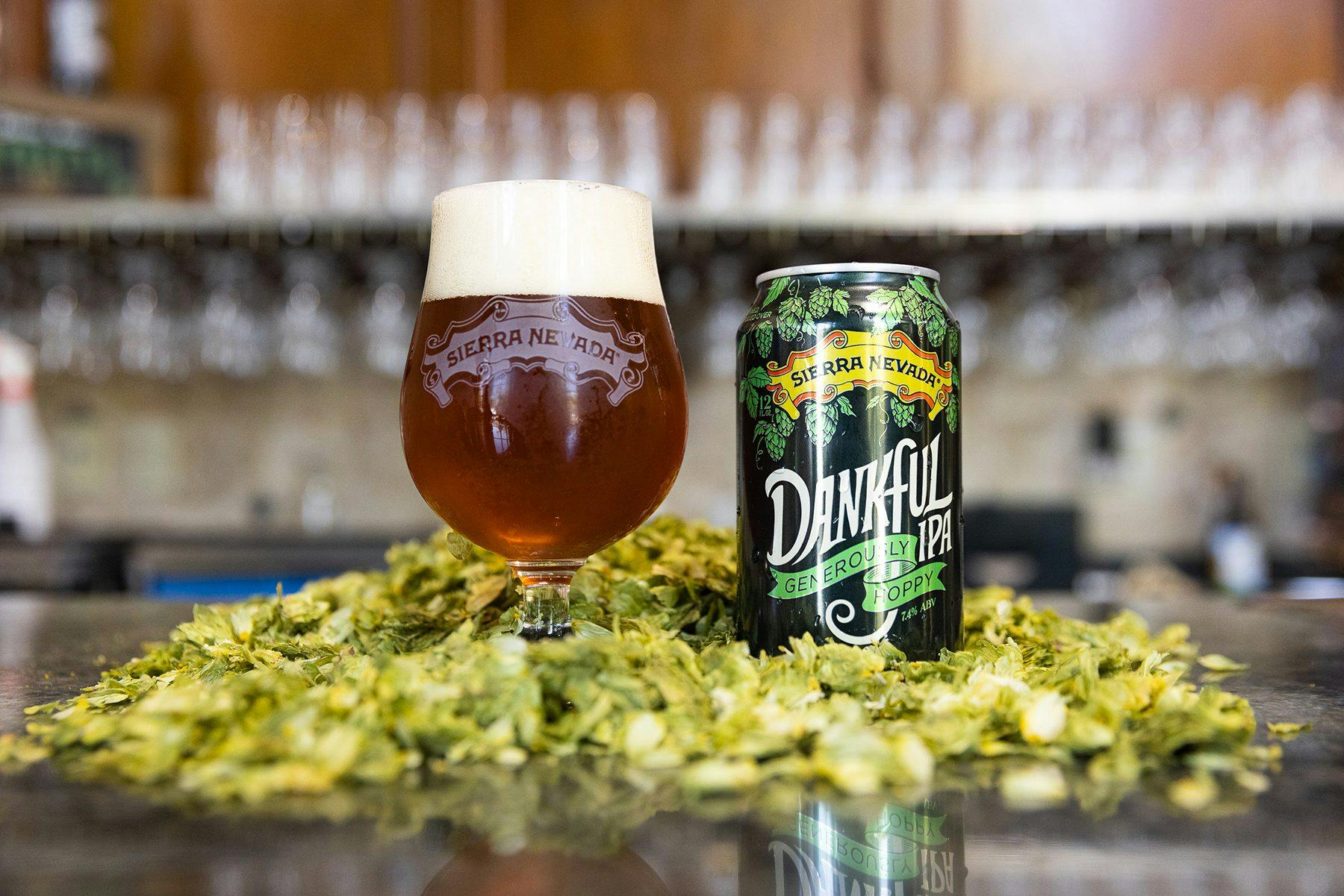 Dankful IPA beer can and pint glass on hops