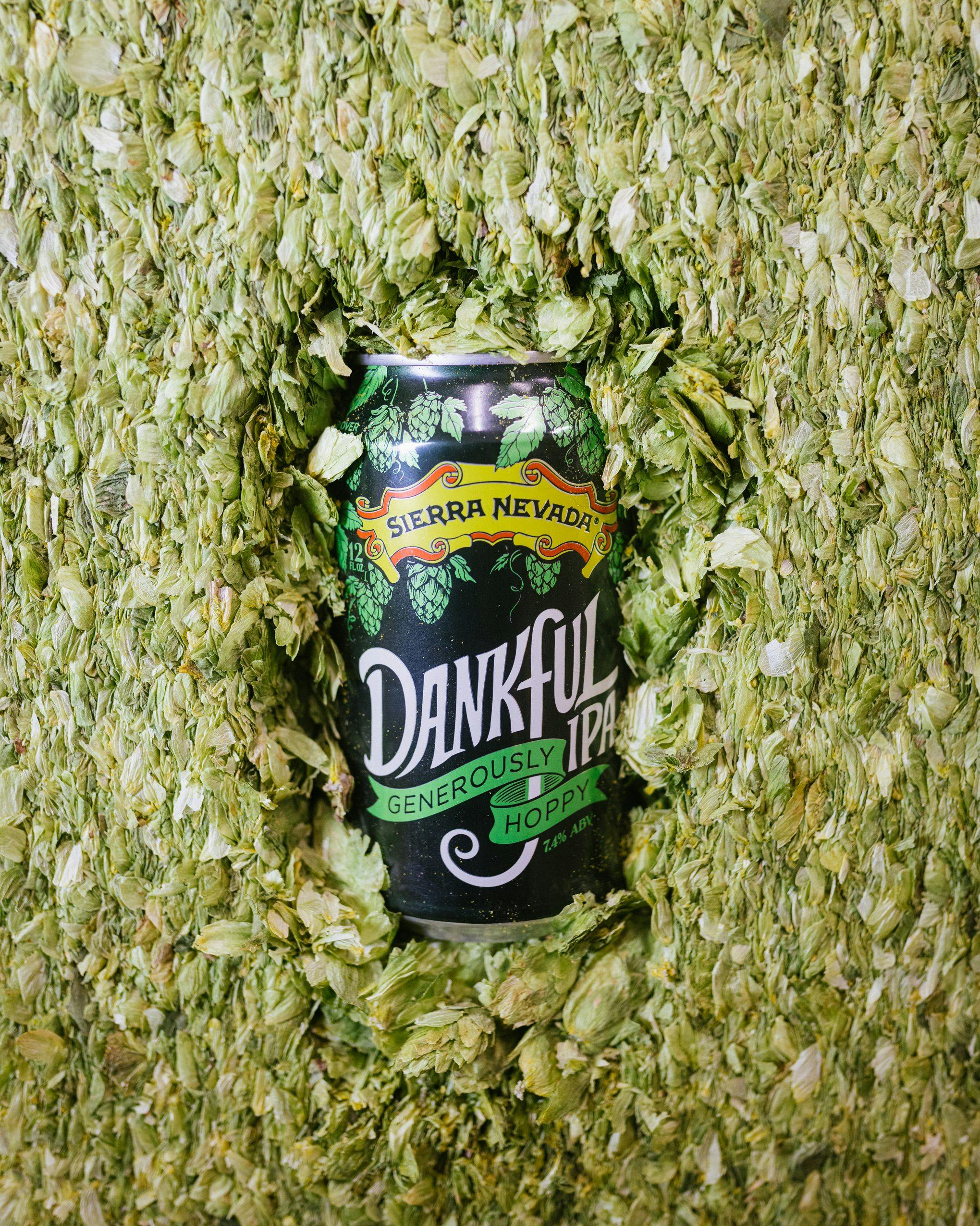 Dankful IPA beer can in hops
