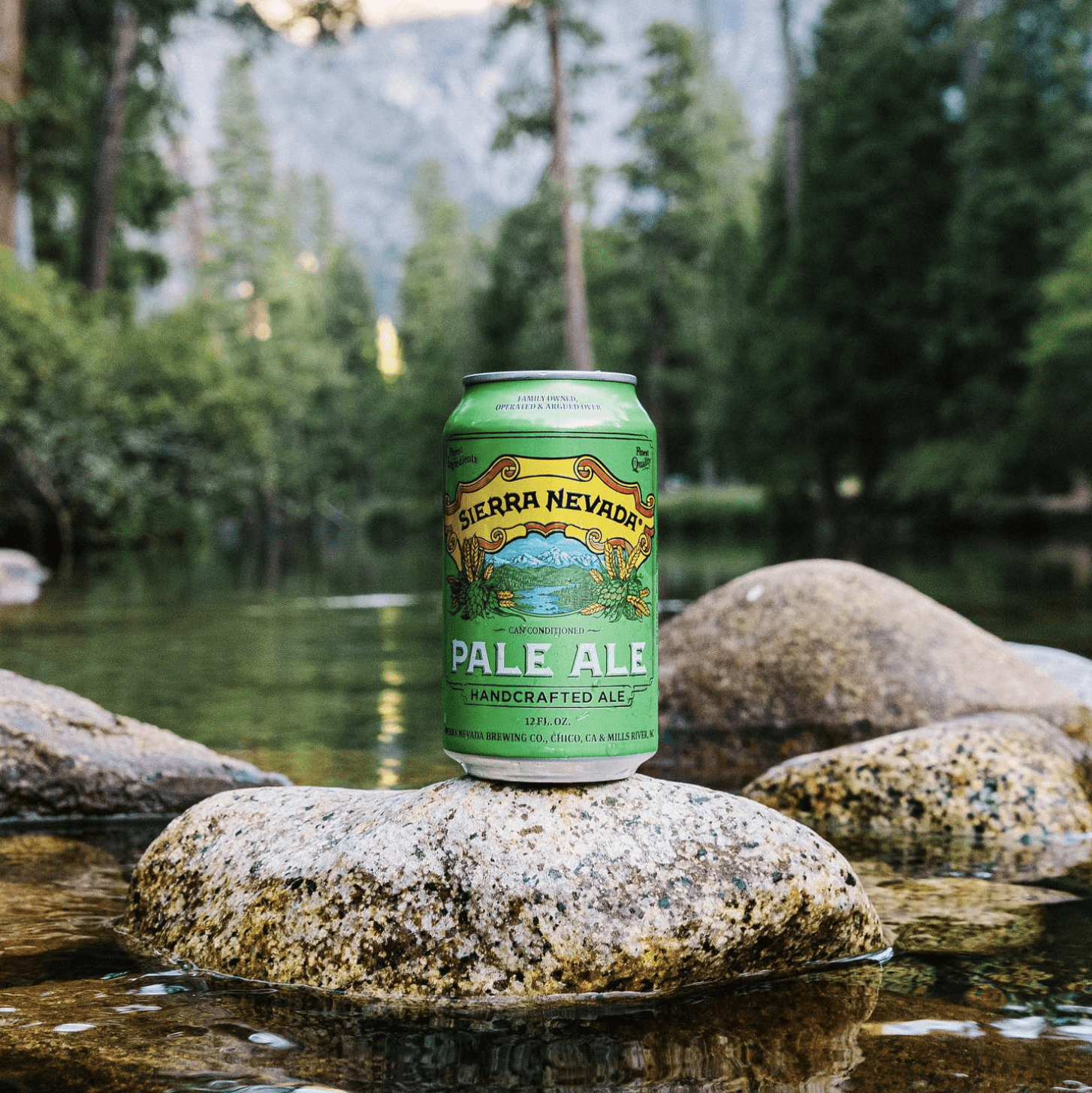 Pale Ale beer can in mountain lake scene