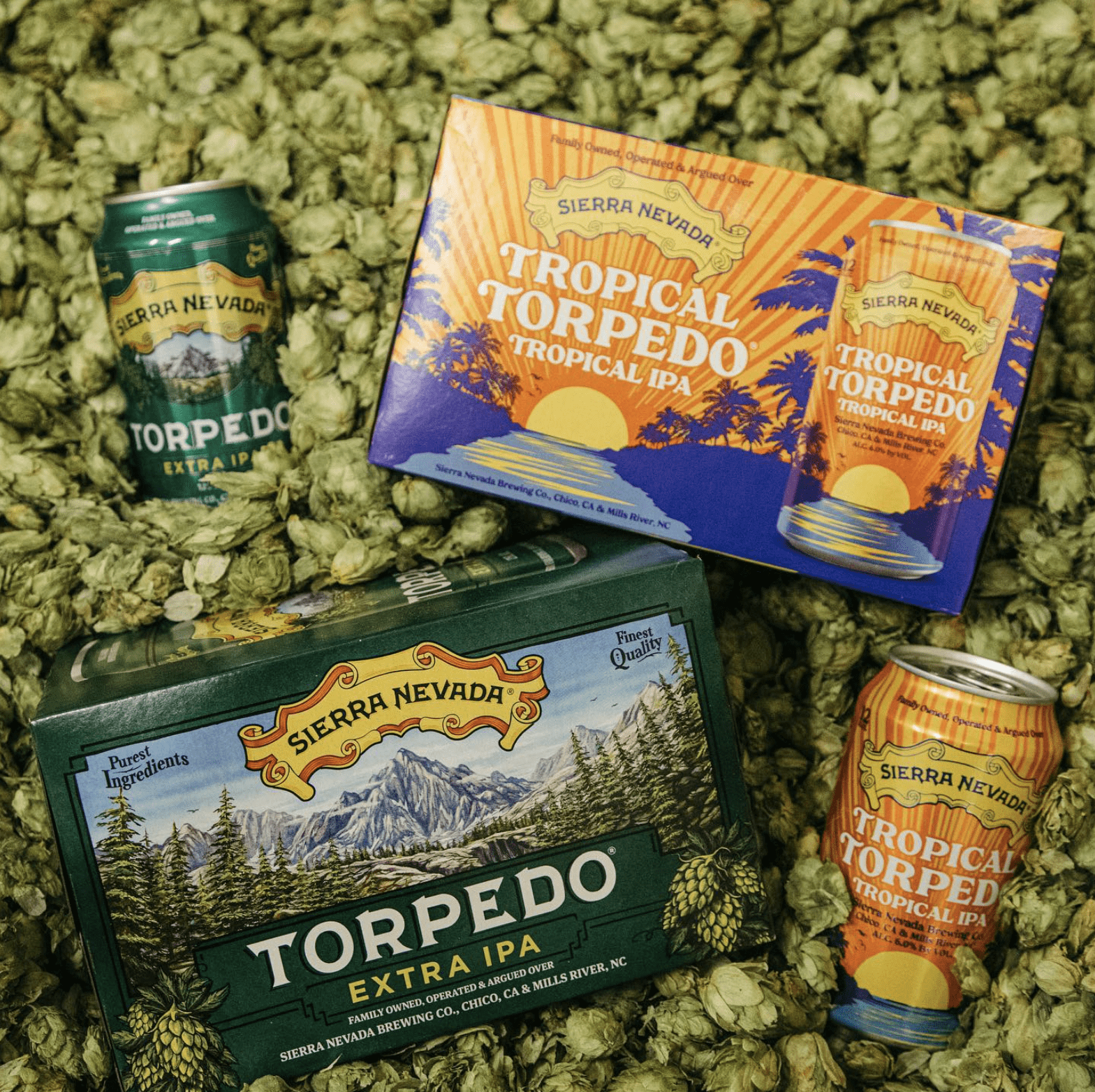 boxes of tropical torpedo and torpedo extra ale with hops in the background