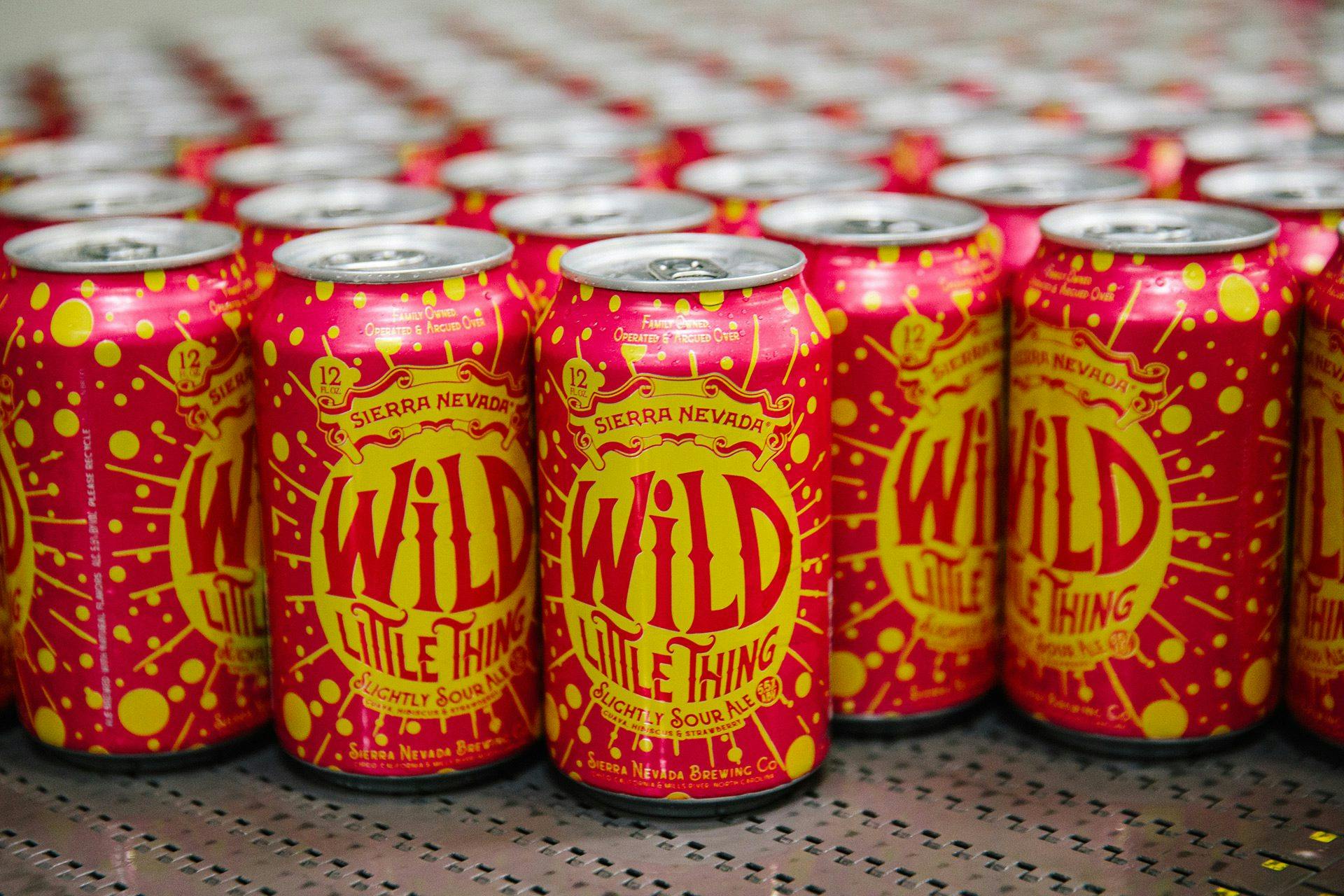 Wild Little Thing sour beer cans
