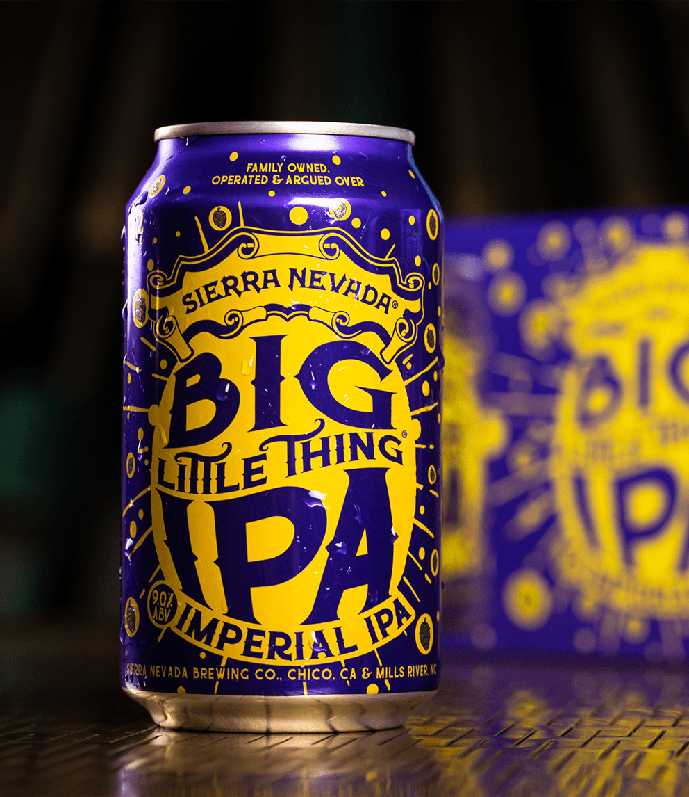 Shiny can of Big Little Thing IPA stout