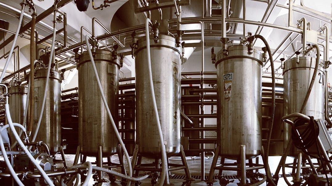 Hop Torpedos in the brewhouse