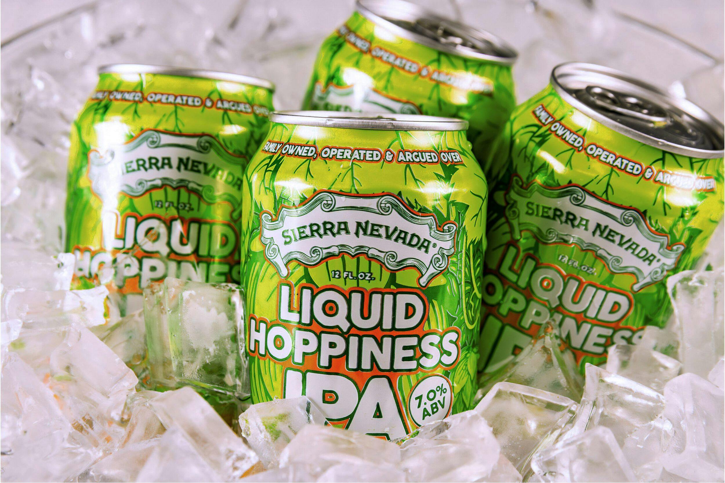 Liquid Hoppiness IPA beer cans on ice