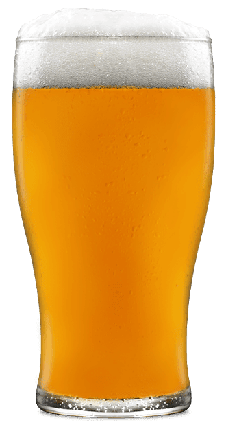 pint glass full of beer