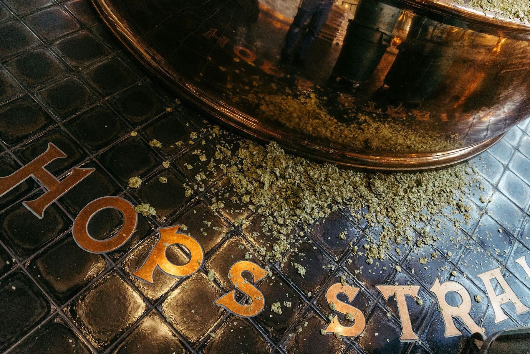 Hops on the ground of the brewhouse inside Sierra Nevada Brewing Co.