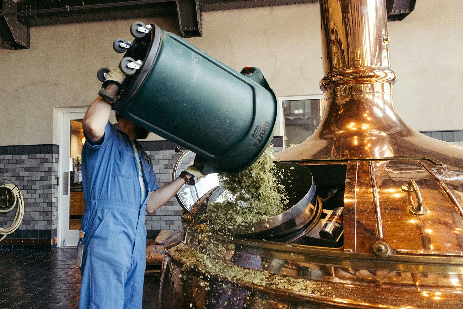 A brewer pours a container of hops into a brew kettle at Sierra Nevada Brewing Co.